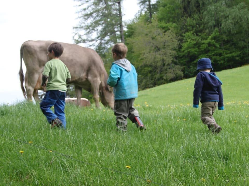 Kinder auf der Wiese mit Kuh