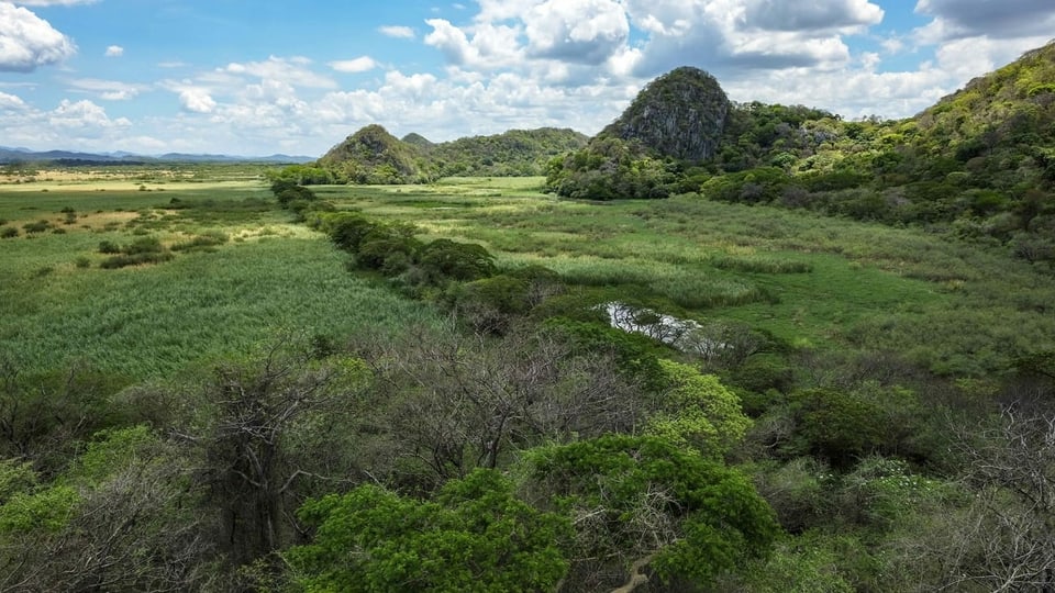 Schutz für Klima und Biodiversität besser aufeinander abstimmen