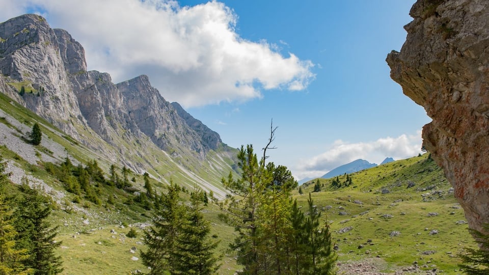 Natur im Diemtigtal