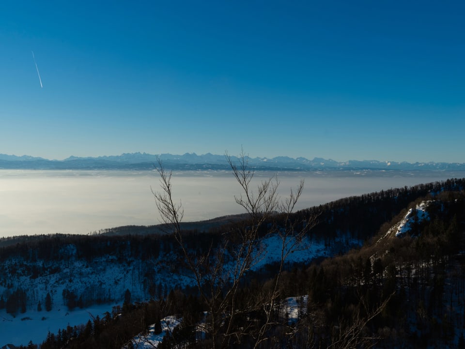 Über dem Nebelmeer auf der Belchenflue zeigt sich das Alpenprofil unter dem blauen Himmel.