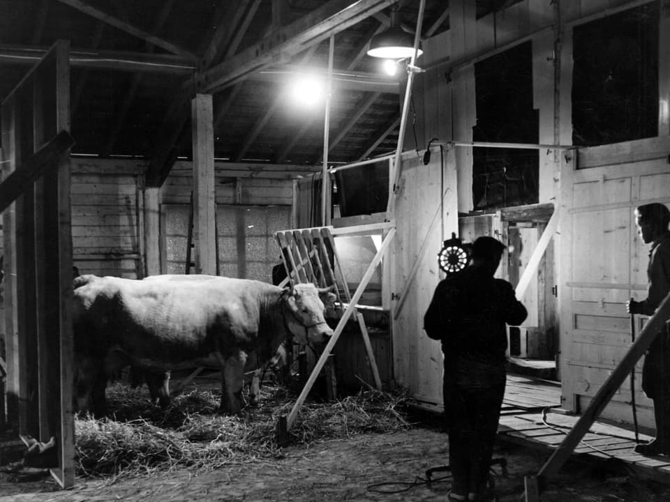 Szene in einem Stall bei Nacht. Zwei Männer stehen bei einer Kuh.