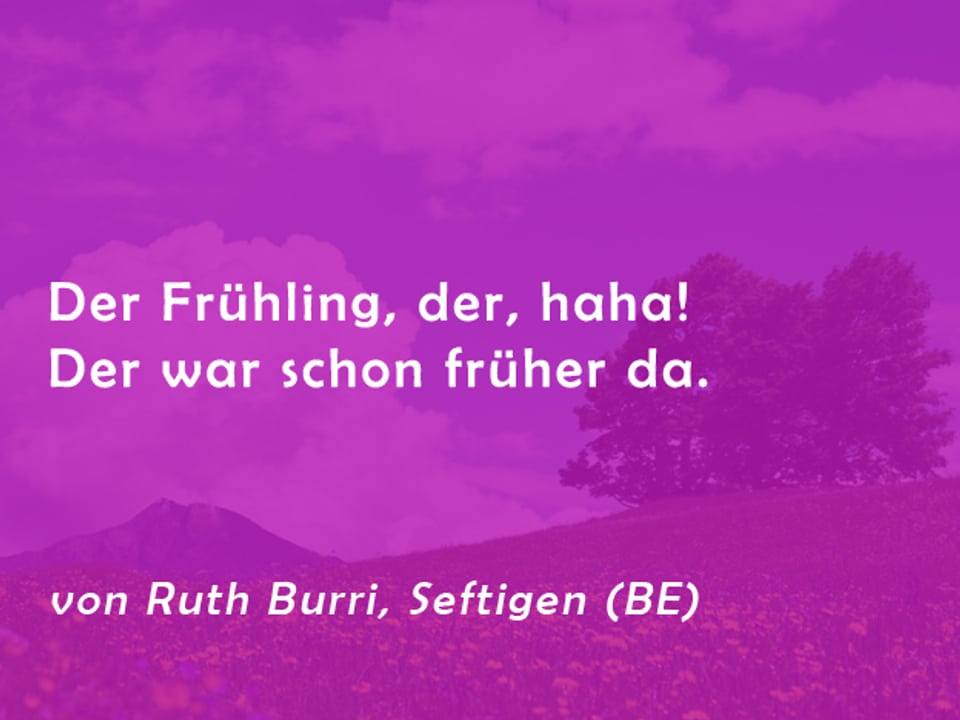 Gedicht von Ruth Burri: Der Frühling, der, haha! Der war schon früher da.