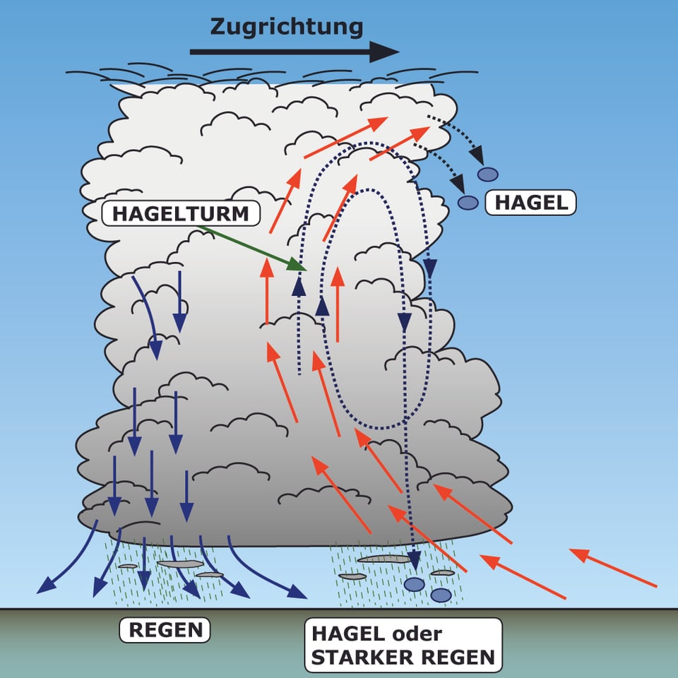 Ein Schema einer Gewitterzelle: Mit Pfeilen werden die Auf- und Abwinde in der Gewitterzelle verdeutlicht. Mit den Winden werden die Hagel körner in der Wolke auf- und abgetragen und gewinnen so an Grösse.