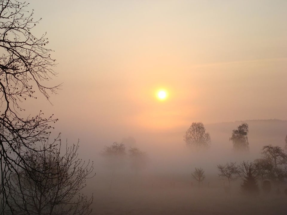 Die Bewohner der Täler sehen wohl kaum etwas anderes als Nebelgrau. Knapp an der Nebelobergrenze staunt man über den hübschen Sonnenaufgang.