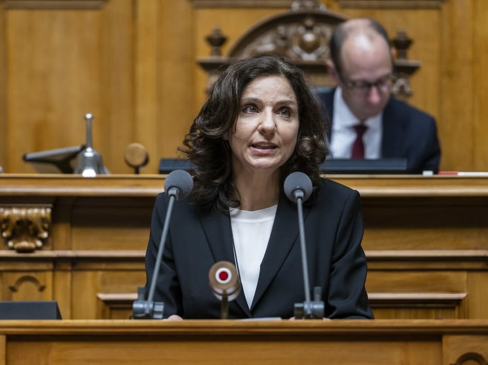 Gabriela Suter hält eine Rede im Parlament