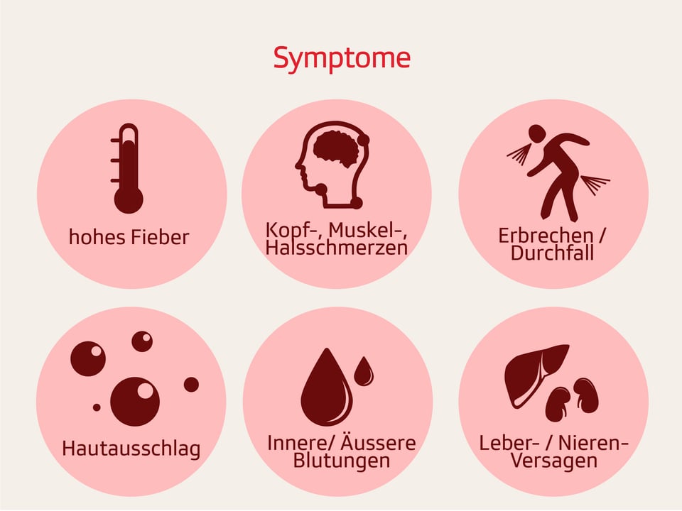 Grafik zu Symptomen wie Fieber, Erbrechen oder Leber- und Nierenversagen