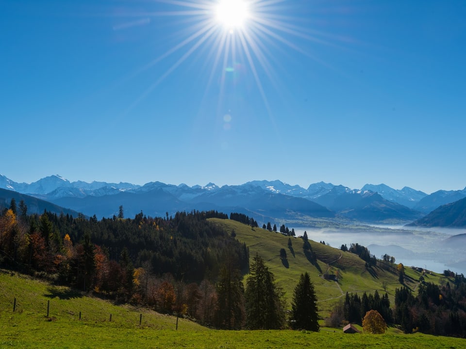 Im Vordergrund grüne und saftige Wiesen. Im Hintergrund die schneebedeckten Berge des Berner Oberlandes.