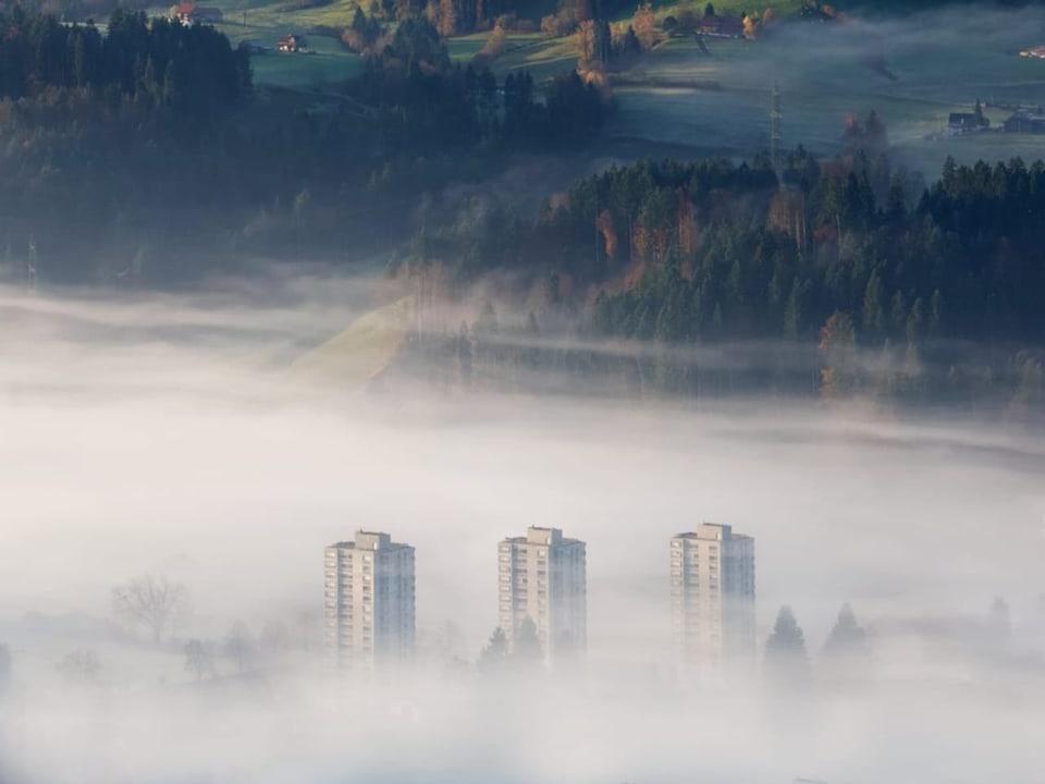Nebel mit Hochhäusern