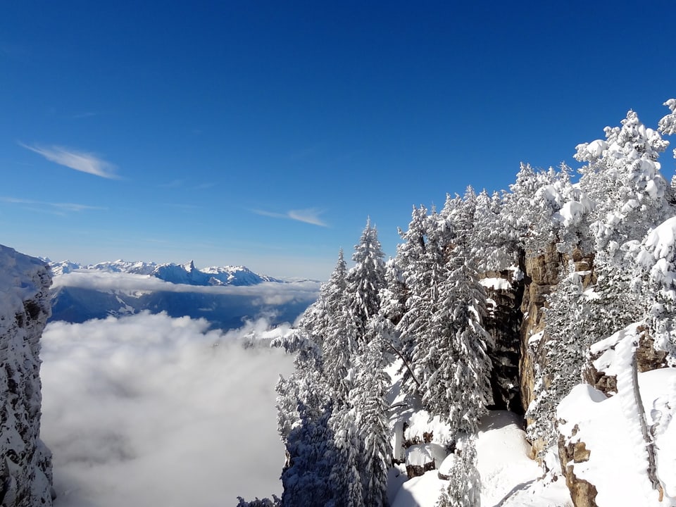 Blick über Felsen und verschneite Wälder zu den Alpen.