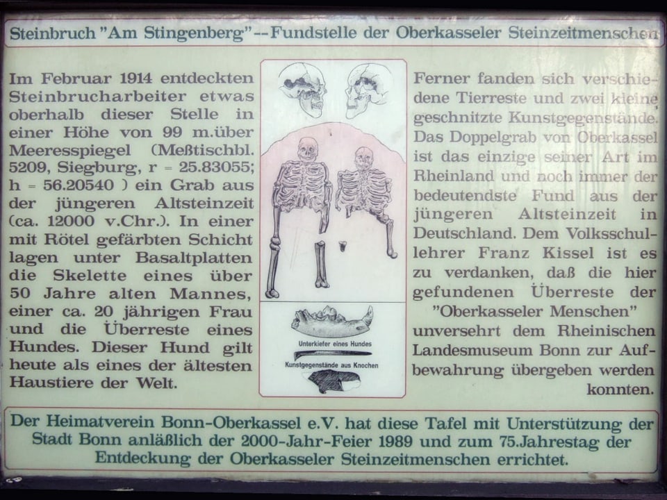 Texttafel mit ausführlicher Beschreibung der Skelett-Fundstelle neben einer Skizze der Skelette.