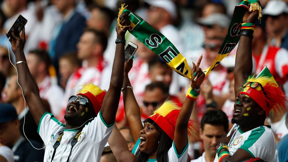 Senegalesiche Fans im Stadion singen und tanzen.