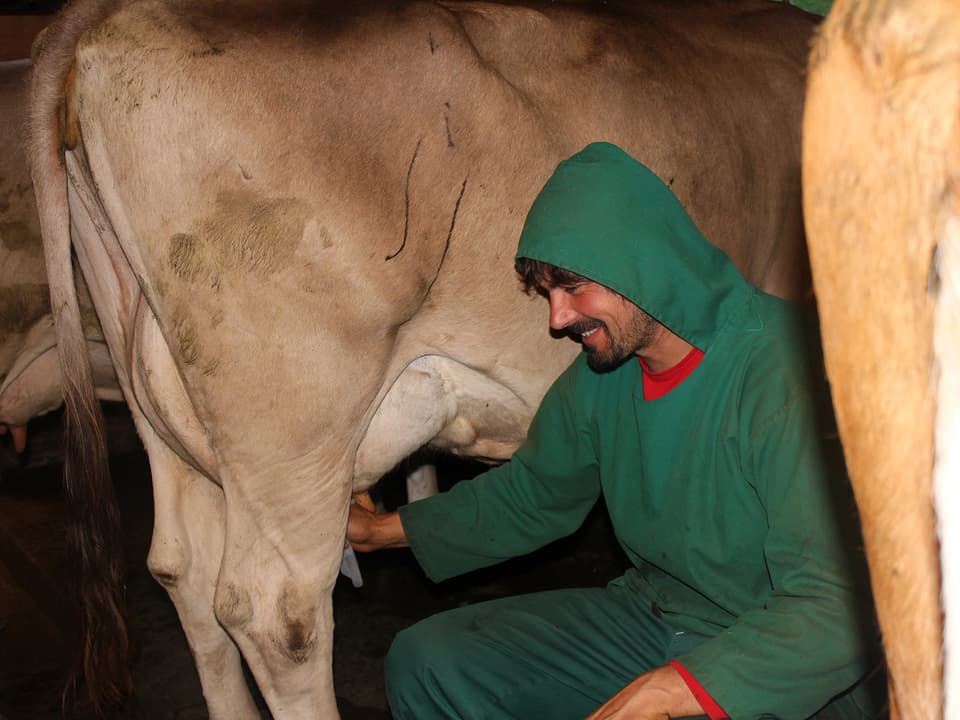 Christian Beglinger im grünen Overall beim Melken einer Kuh.