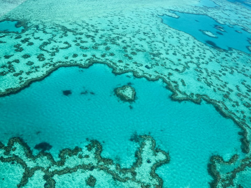 Blick von oben auf das Great Barrier Reef