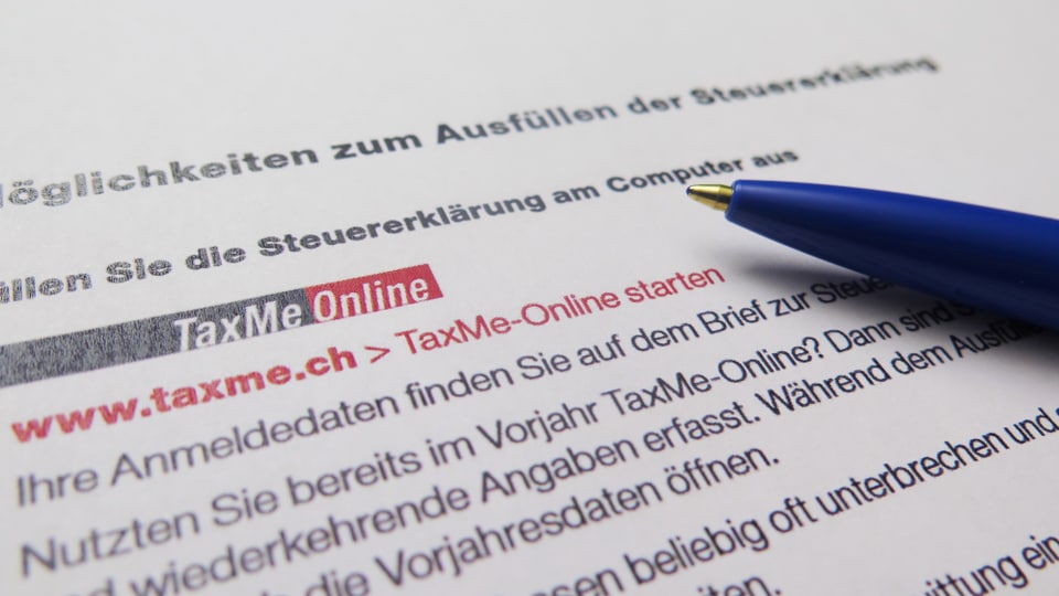 Infoblatt Taxme Online