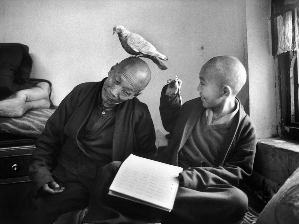 Ein älterer Mönch mit einer Taube auf dem Kopf und ein lachender junger Mönch.