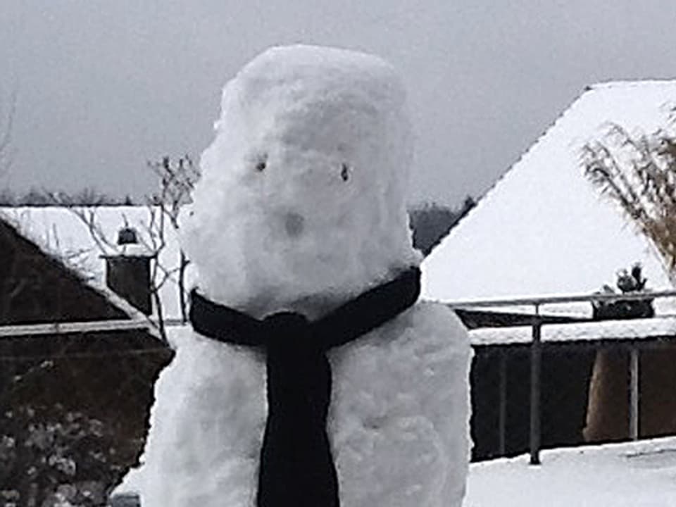 Wo ist meine Nase?! Der Schneemann von Andres Horisberger vermisst wichtige Gesichtsteile.