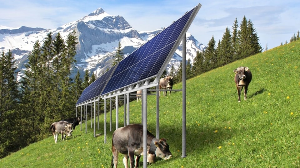 Auf der Illustration sind Solarpanels, weidende Kühe und eine alpine Landschaft zu sehen.