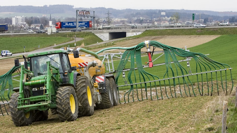 Ein Traktor bringt mit Schleppschläuchen Jauche aufs Feld.