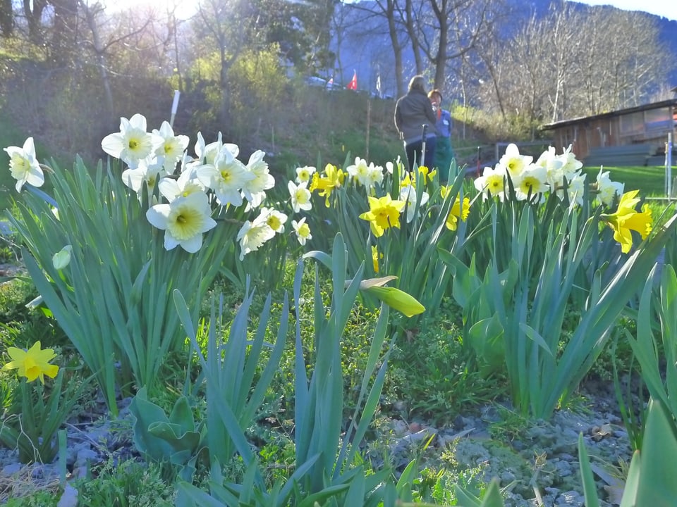 Sonnenschein und wärmere Temperaturen. Der Frühling zeigt sich auch in der Umgabung der Gartentherapie.