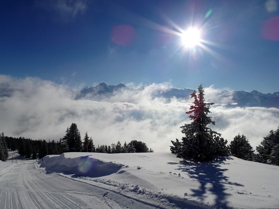 Blick auf den blauen Himmel.