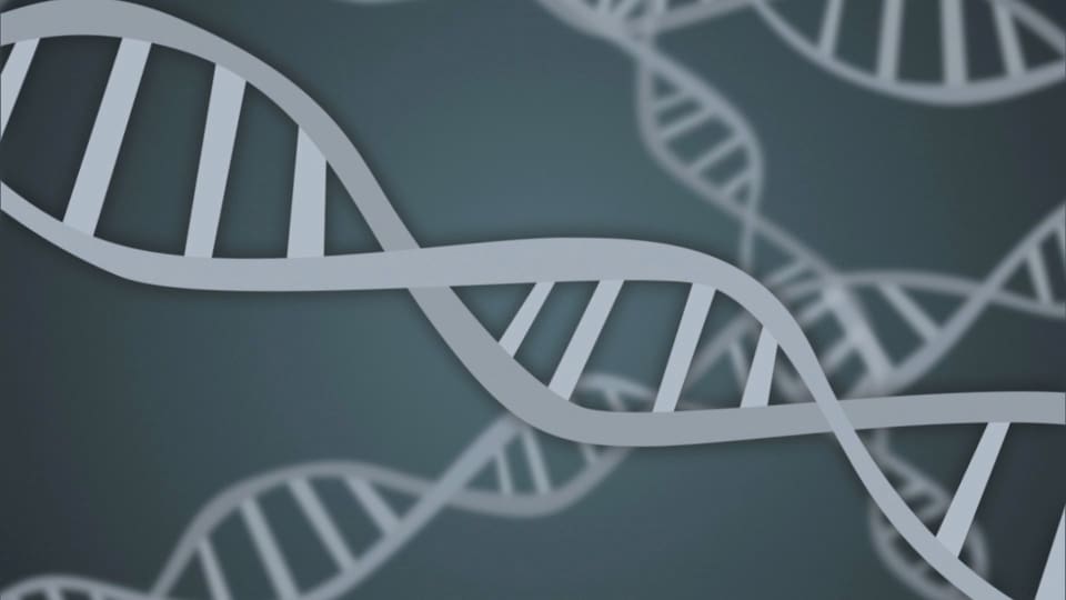Grafik DNA-Strang.