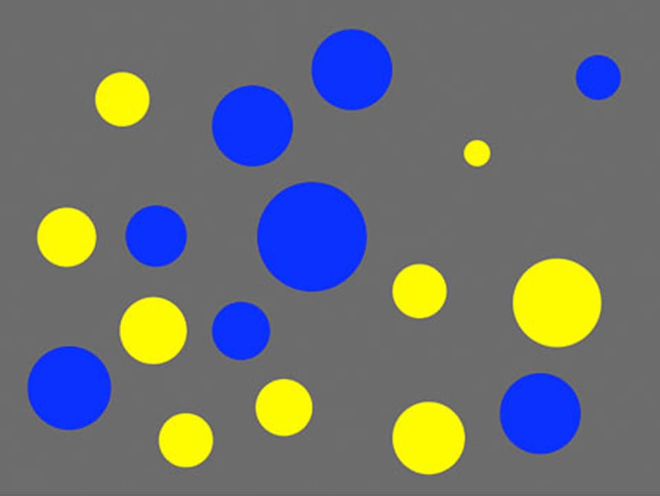 Gelbe und blaue Punkte auf einem grauen Hintergrund.