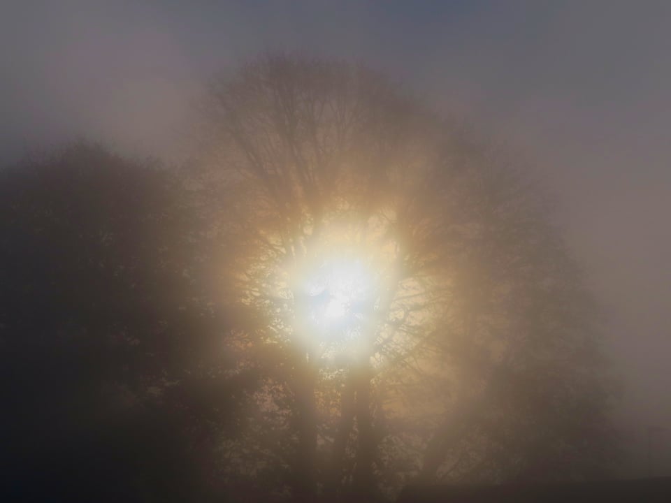 Sonne, die durch den Nebel scheint.