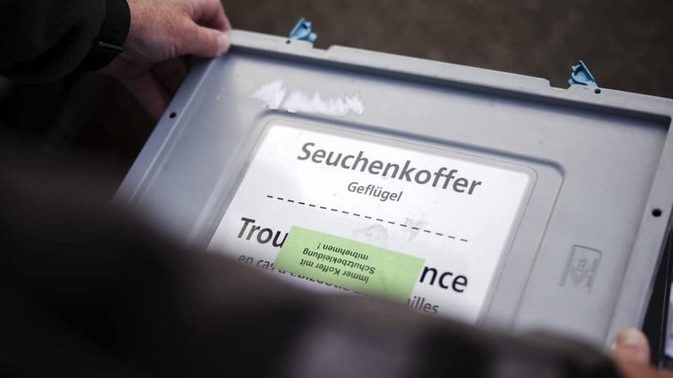 Seuchenkoffer in Grau in den Händen eines mittelalten Mannes