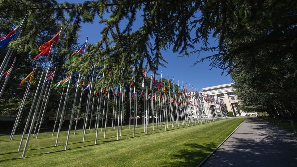 Flaggen der UNO-Staaten vor dem Palais des Nations in Genf