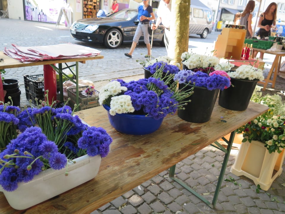 Blumen am Markt
