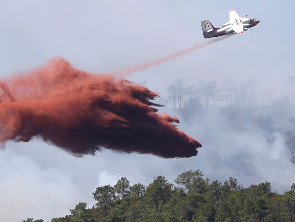 Flugzeug versucht Waldbrand zu löschen. 