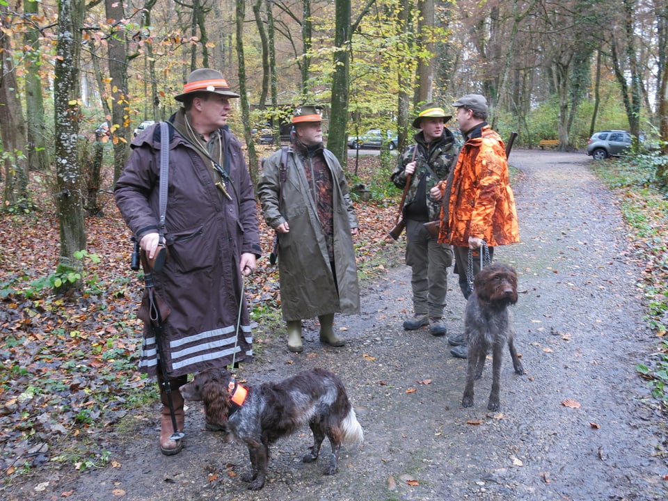 Männer mit Hunden im Wald.