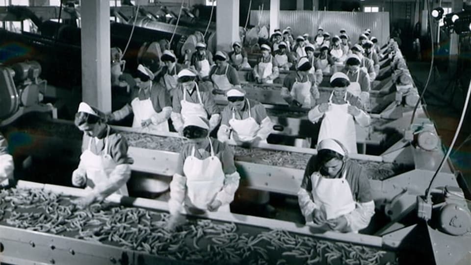 Frauen arbeiten in einer Fabrik