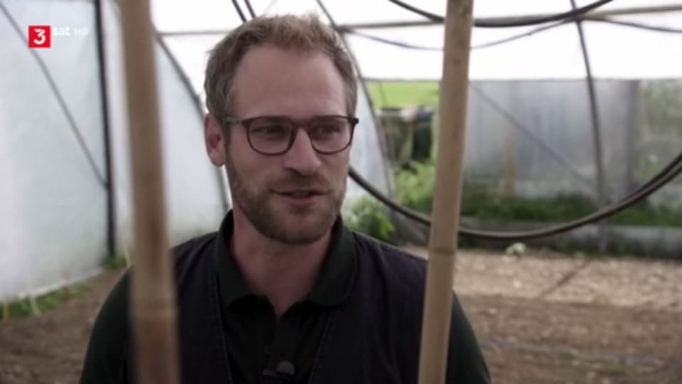 Ein Mann mit Brille in einem Gewächshaus