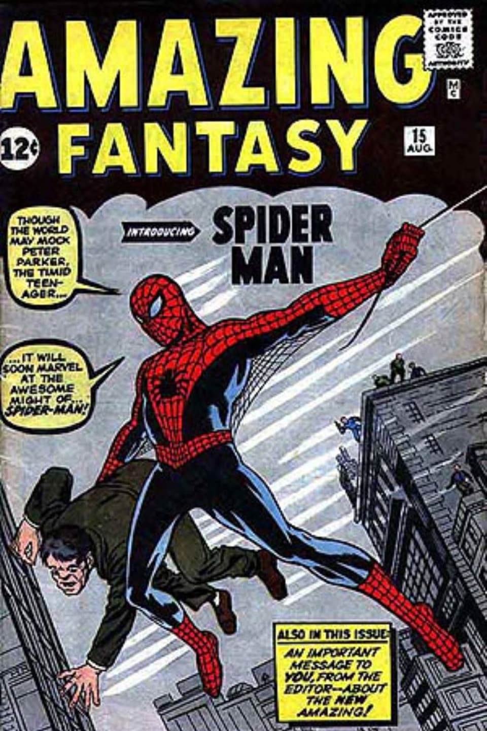 Cover des ersten Spider-Man Comics