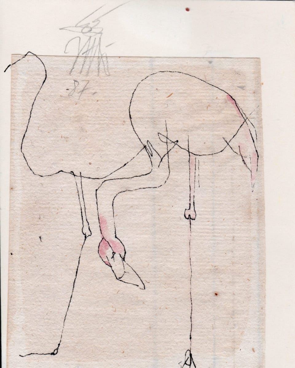 Eine Zeichnung eines Flamingos