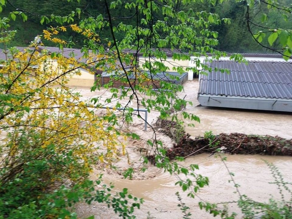 Am 2. Mai 2013 wurde das Schaffhauser Tierheim überflutet.