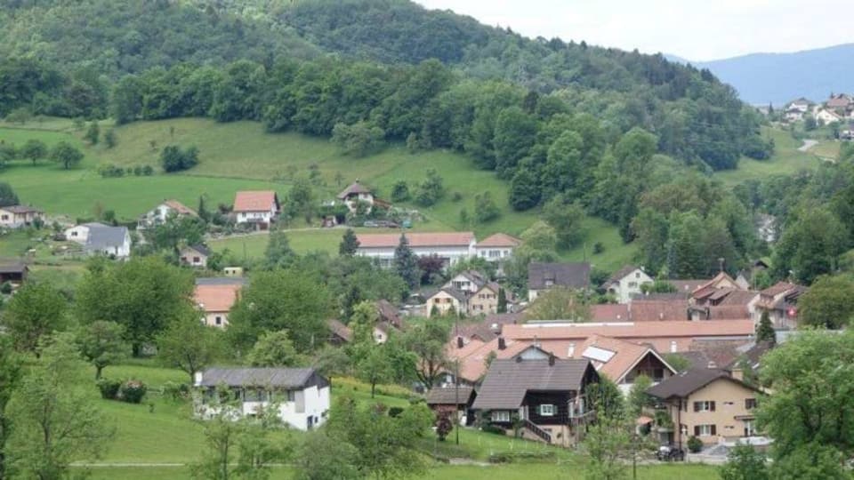 Schönes Dorf im Grünen. Auf dem Bild sind mehrere Häuser. Im Hintergrund ist der Wald sichtbar. 