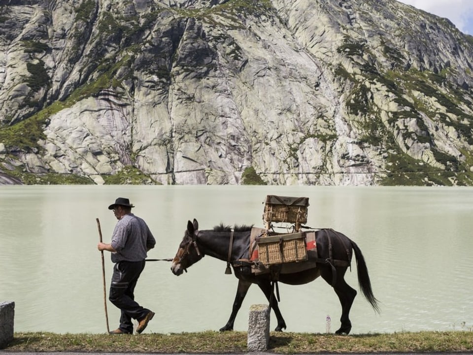 Ein Mann läuft in den Alpen mit einem Esel an einem See vorbei. Der  Esel ist beladen.