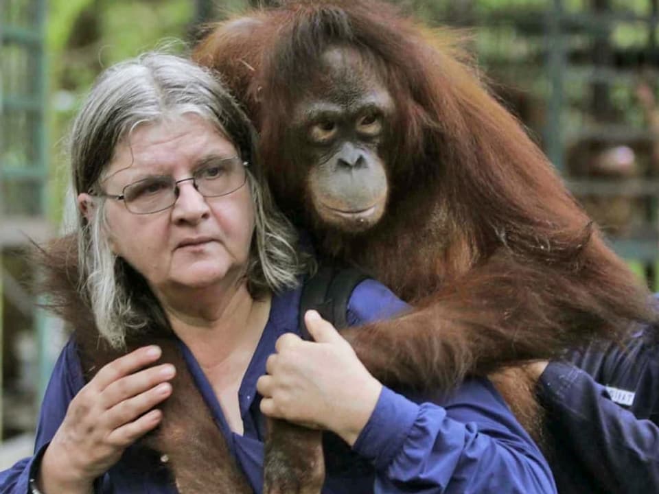 Frau hält Orang-Utan auf dem Rücken