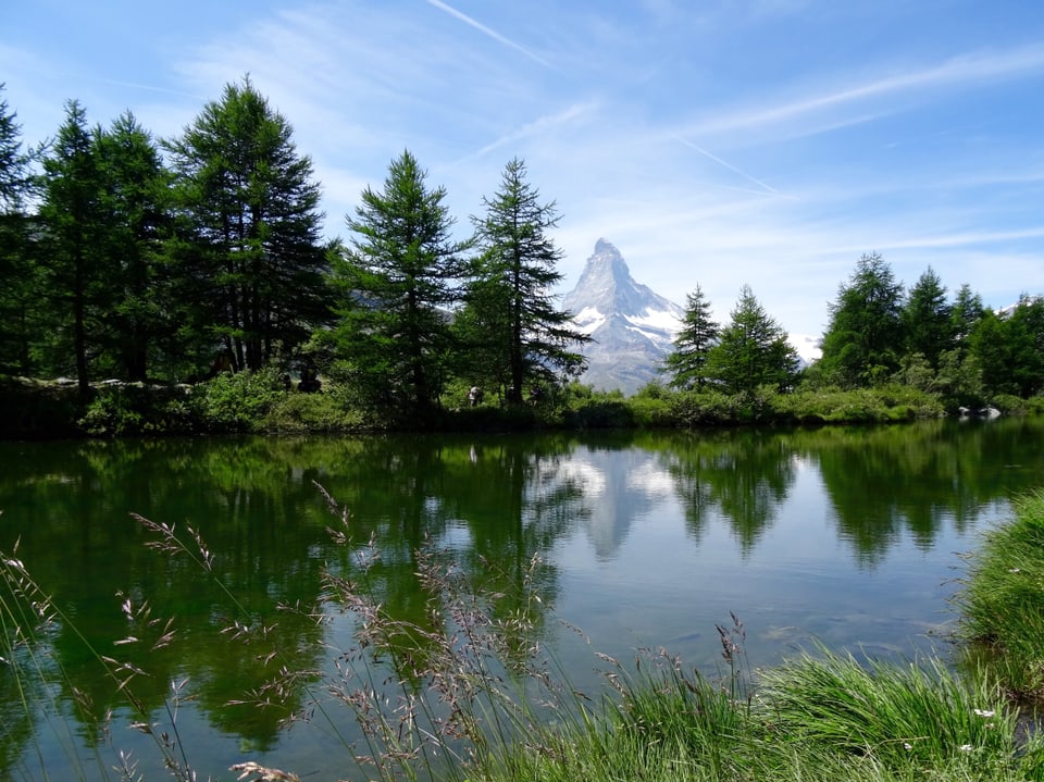 Hinter einem kleinen See hat es Tannen. Zwischen den Tannen ist das Matterhorn zu erkennen.