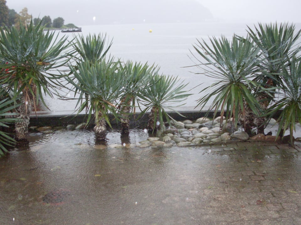 Überschwemmte Uferpromenade in Lugano.