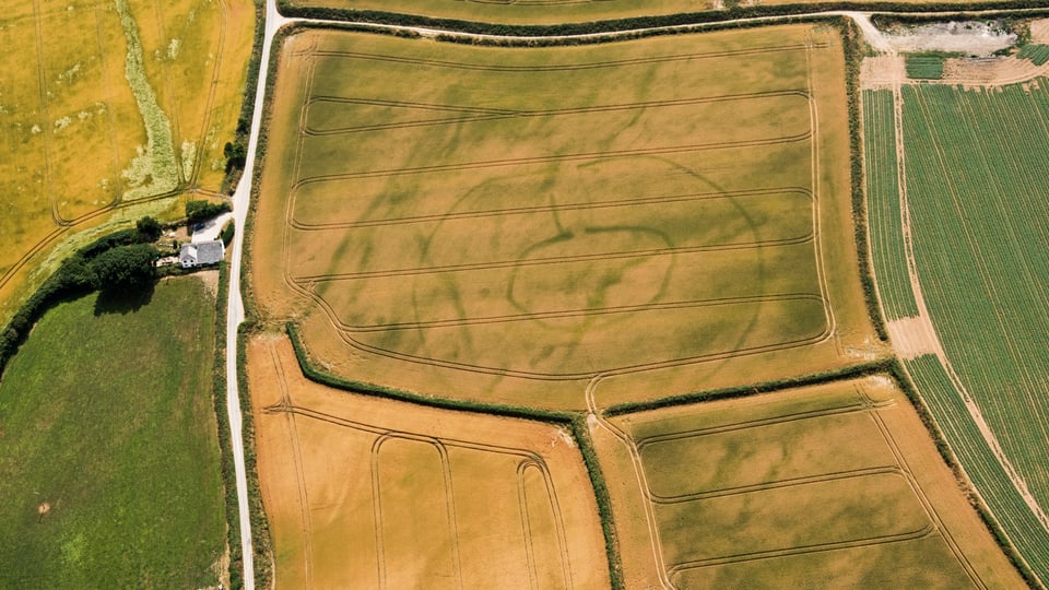 Luftaufnahme von Kreisen in Feldern