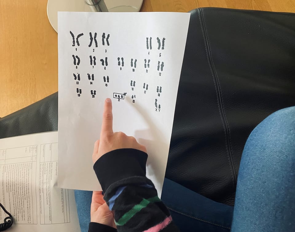 Julia zeigt die 23 Chromosomenpaare auf einem Blatt Papier