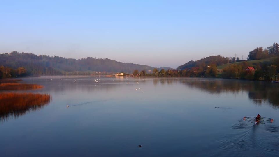 Morgenstimmung am Wohlensee.