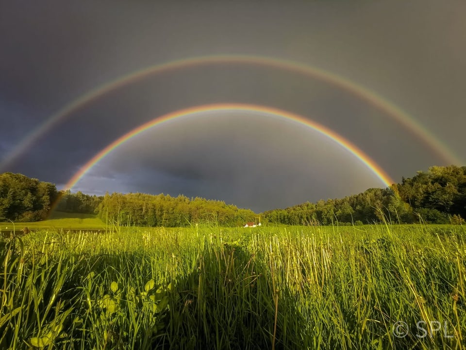 Doppelter Regenbogen über einem Feld.