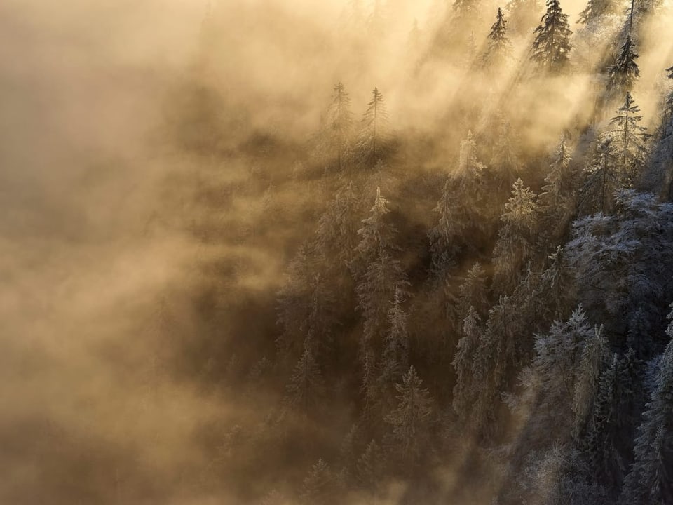 weisse Landschaft mit Nebel