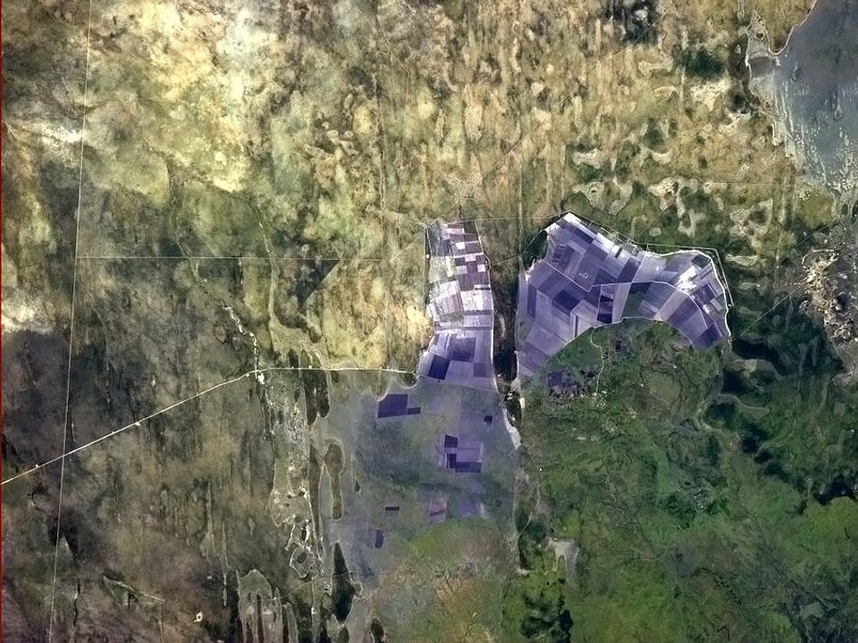 Blick aus dem Orbit auf eine seltsam violett gefärbte Landschaft.