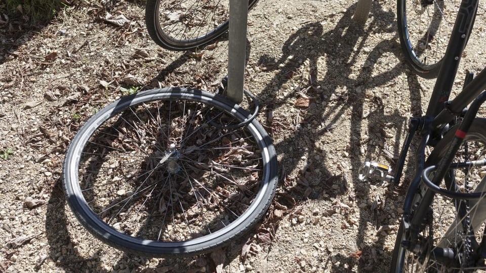 Überbleibsel eines gestohlenen Fahrrades liegen am Boden.
