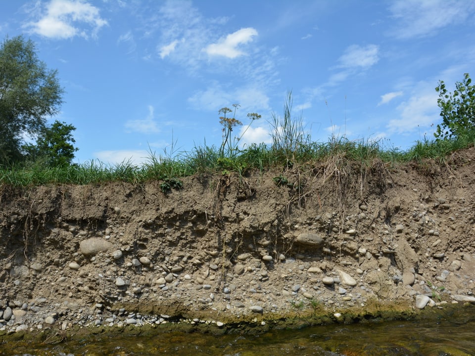 Uferanriss mit Kies und Stein